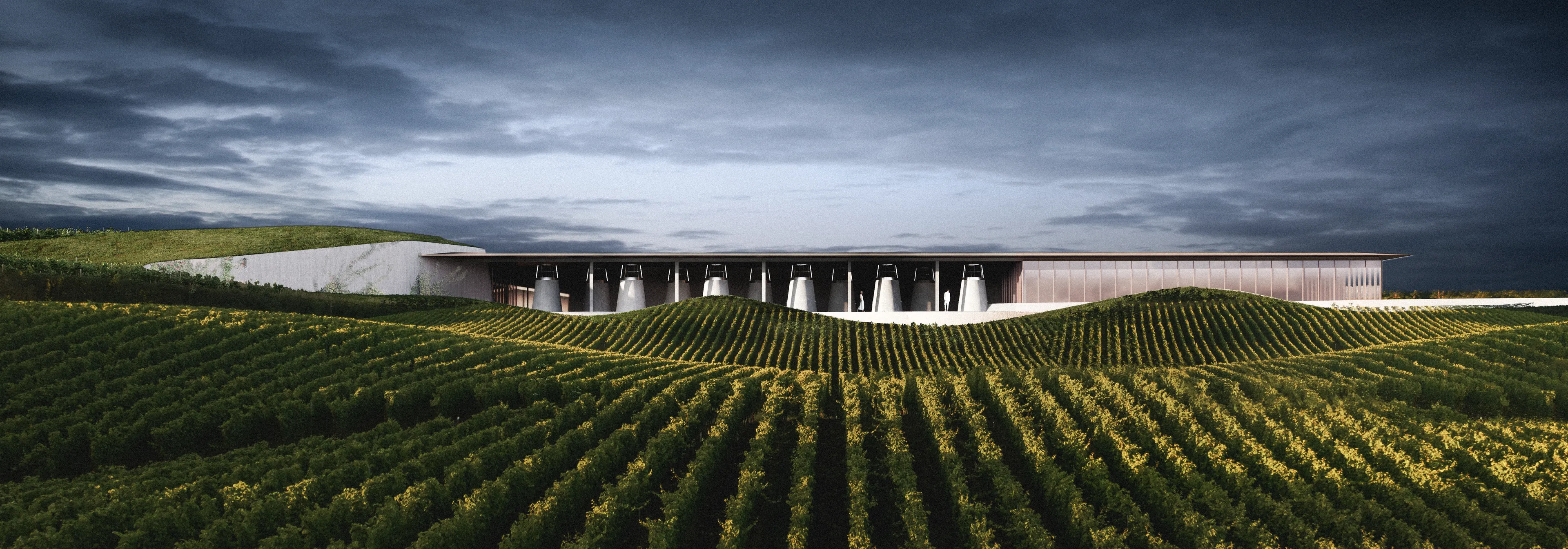 winery-13.png