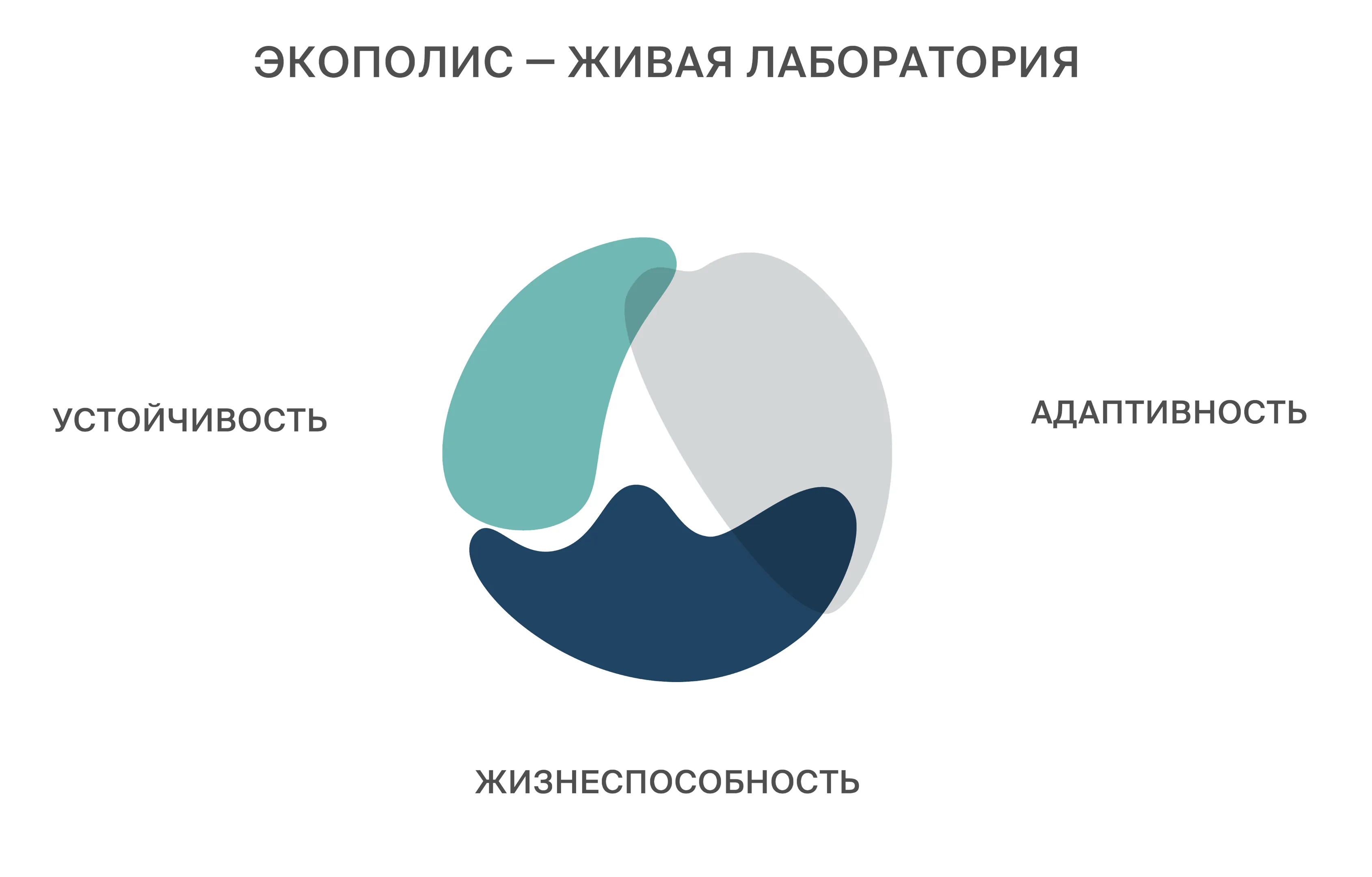 ecopolic-9.png
