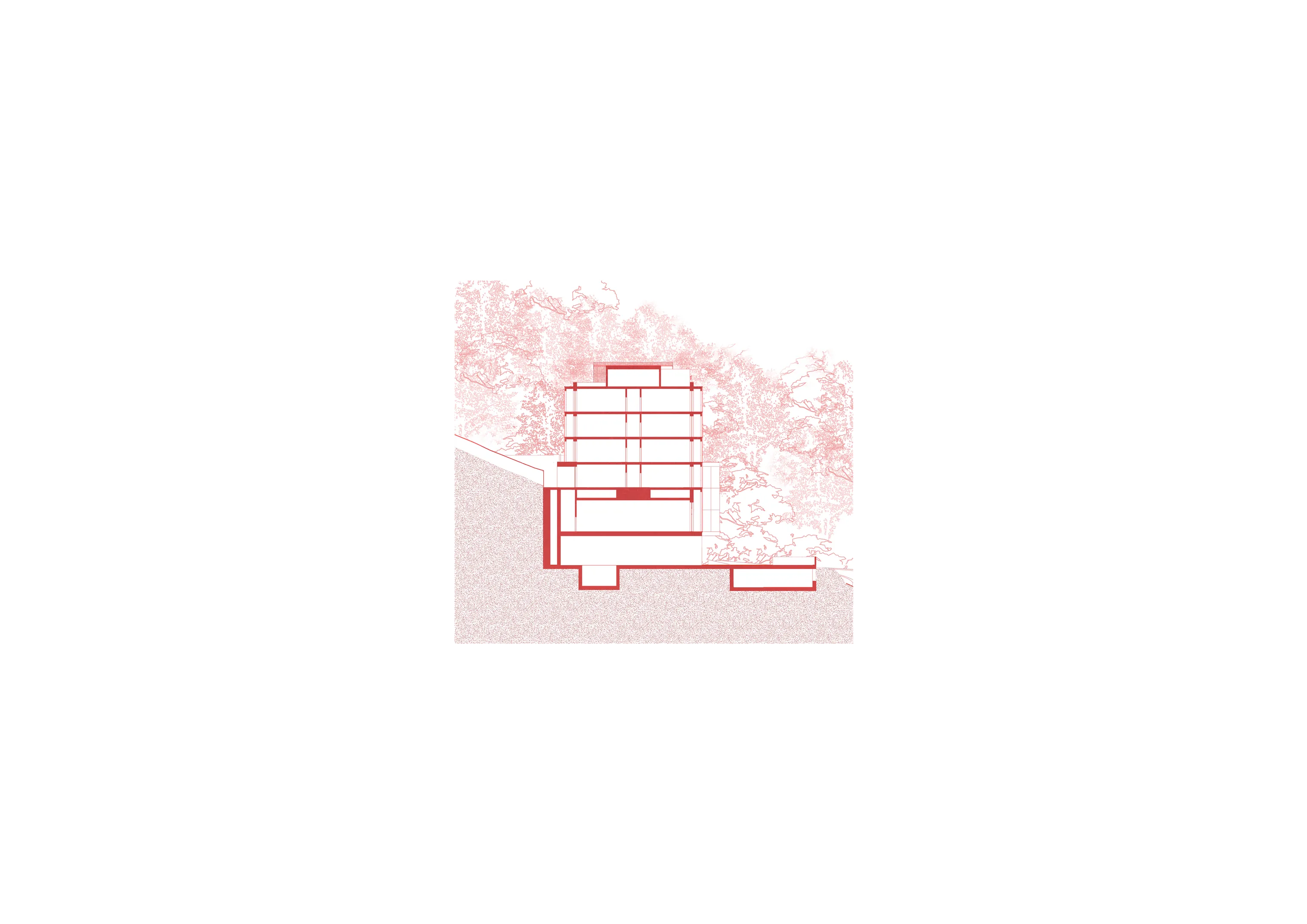 разрез3.png