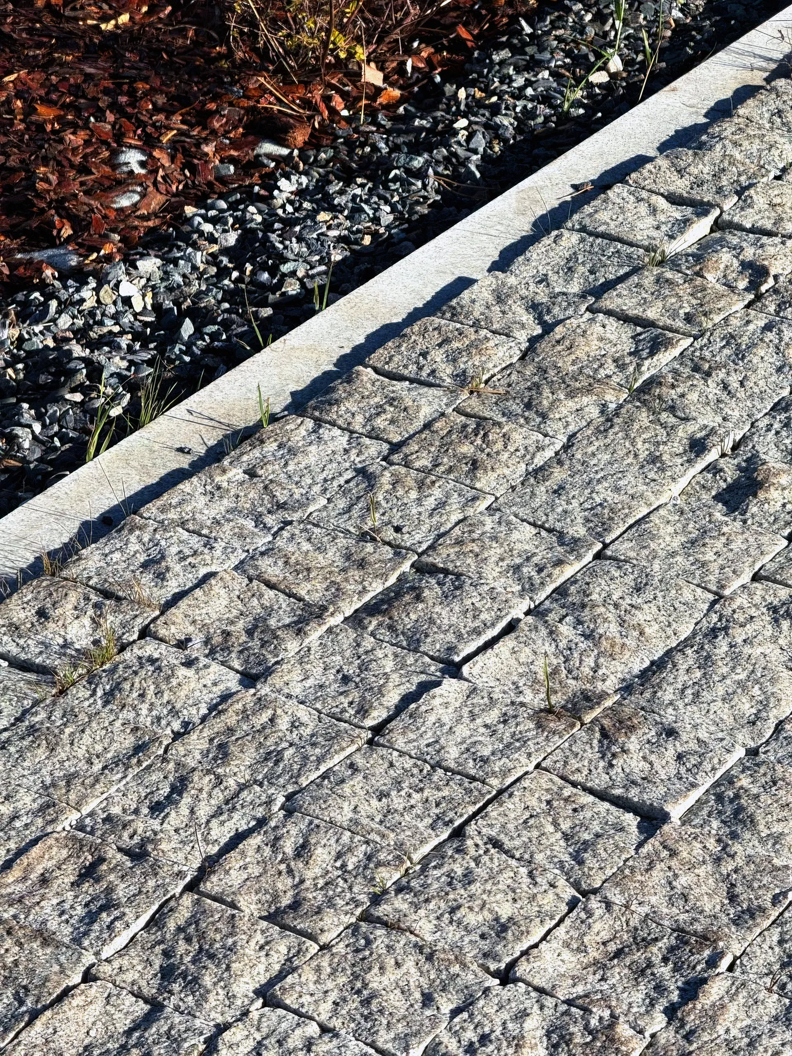 photo_3_2x.png