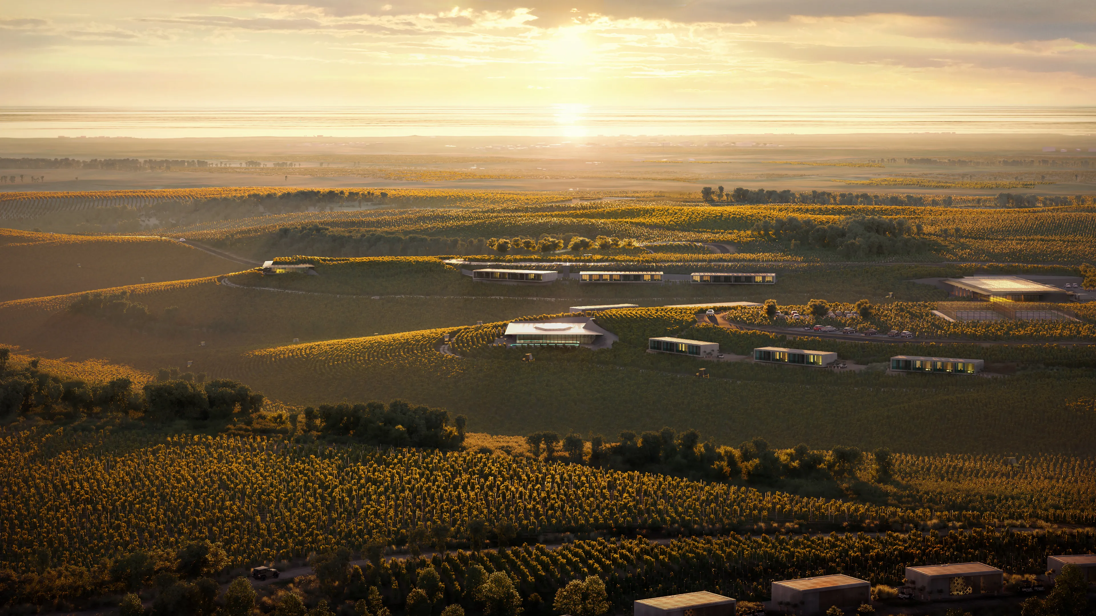winery-4.jpg