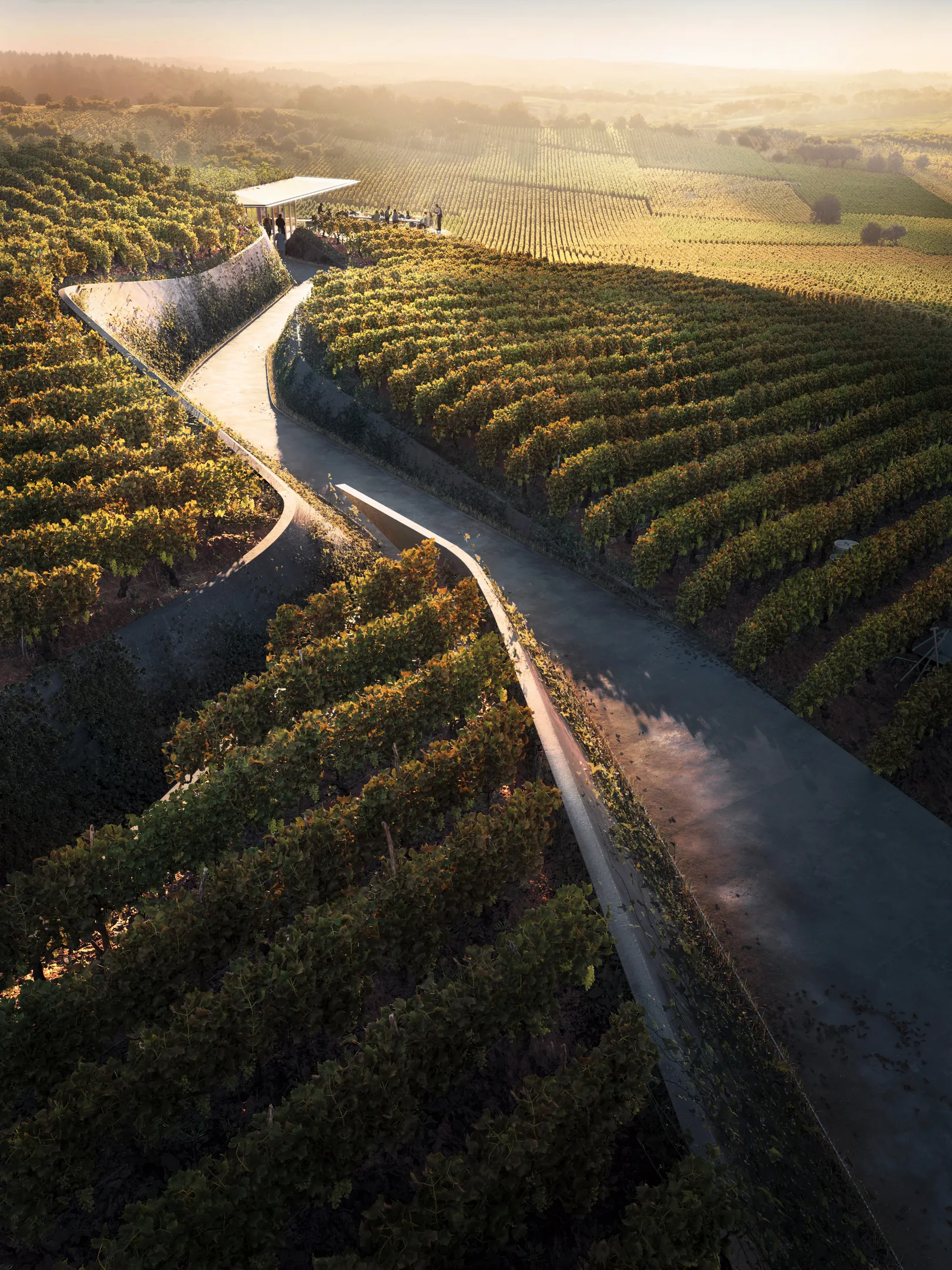 winery-3.jpg